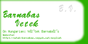 barnabas vetek business card